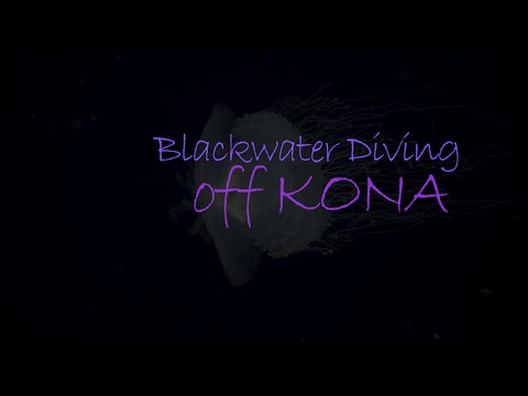 Blackwater Diving
