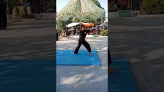 Download lagu PENCAK SILAT SATRIA SUNDA SAKTI mp3