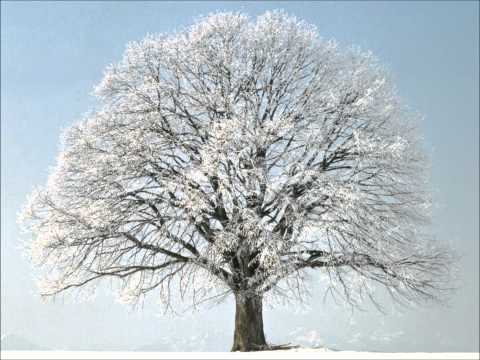 la samba delle stagioni