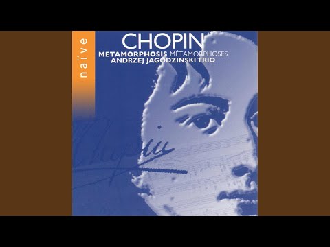 Frédéric Chopin Douze Etudes, Op. 25: No. 9 in G-Flat Major  song