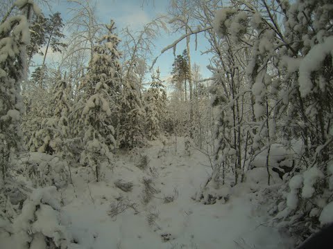 Nyt se sitten käynistyy 2025