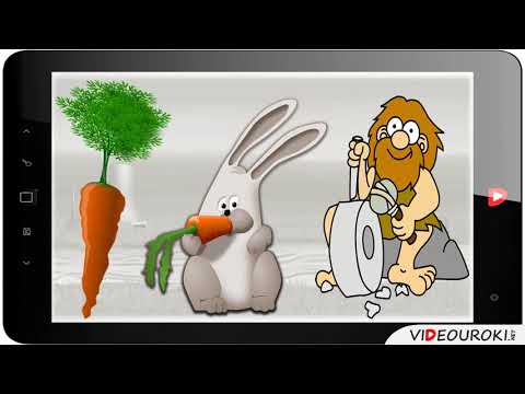 25  Загрязнение почв
