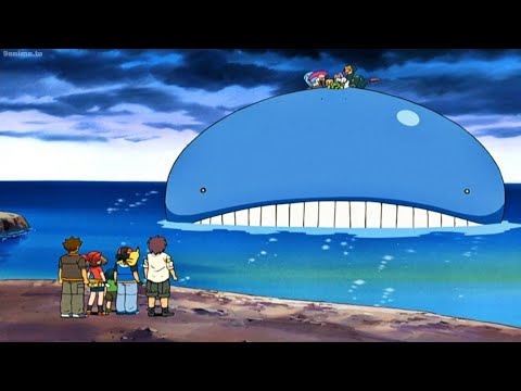 Robin's Wailmer evolves into Wailord