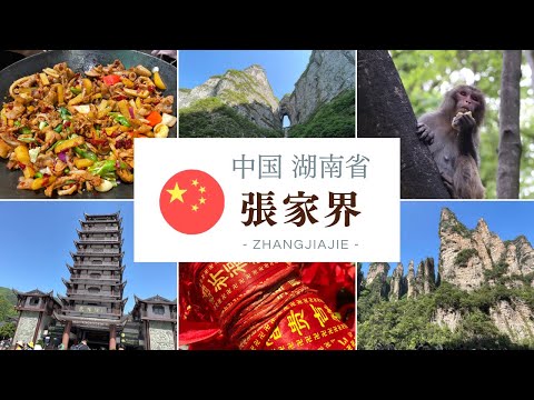 Avaliações da Estação Sul de Zhangjiajie, acesso, horário comercial｜Zhangjiajie