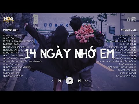 14 Ngày Nhớ Em Lofi - Rồi Đến Một Ngày Ta Cũng Nhận Ra Lofi TikTok - Nhạc Chill Tâm Trạng 2025