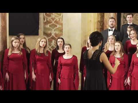 Medici Cantantes - "Gdy śliczna Panna" (opr. Mateusz Kazimierski)