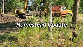 Homestead Update