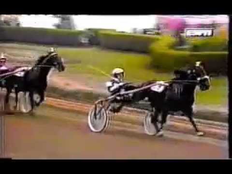 1995 Delaware County Fair NICK'S FANTASY Little Brown Jug Final