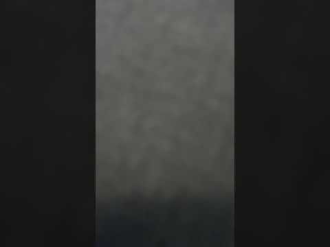 PrvaTV zvezde granda live