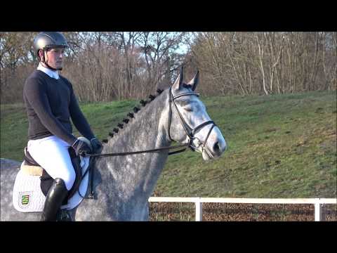 Come together v. Cornet Obolensky - Calido