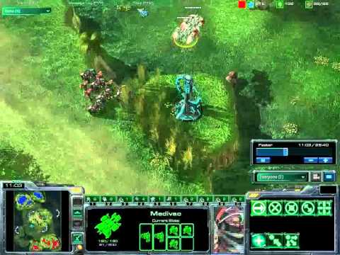 NGry (T) vs Axslav (P) part 1