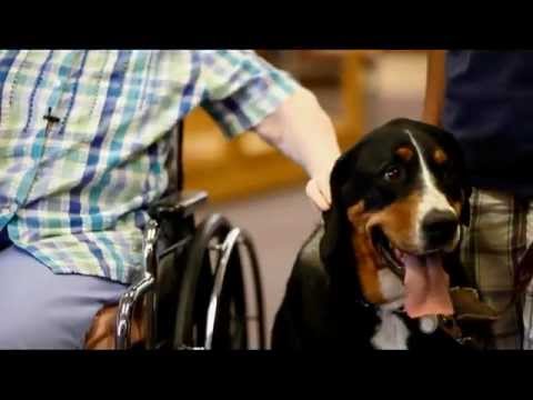 Hallmark Channel - American Humane Association Hero Dog Awards - Premiere Promo