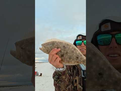 Mein persönlicher Rekord-Flunder aus der Brandung! #Angelvideo #Fisch #Flunder