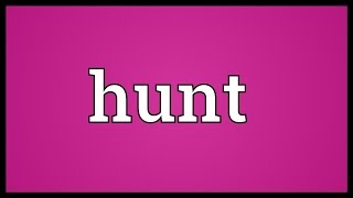 Hunt Meaning