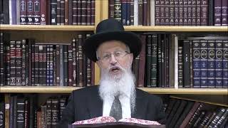 הגאון הרב אברהם יוסף שליט"א האם מברכים את ברכת שהחיינו על הלוביה והדלעת בסדר של סימני ראש השנה (הרב אברהם יוסף) - התמונה מוצגת ישירות מתוך אתר האינטרנט יוטיוב. זכויות היוצרים בתמונה שייכות ליוצרה. קישור קרדיט למקור התוכן נמצא בתוך דף הסרטון