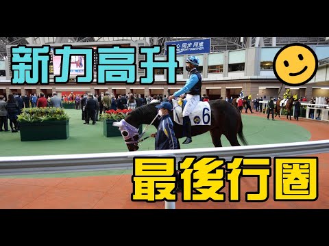 (新力高升) 最後行圈實況 , 超高清版 , 有如身處現場一樣 (年初三尾場)#新力高升
