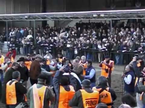 Entrega Gran Campeón Macho Angus Palermo 2012