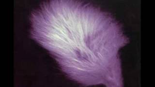 Nits - Crime &amp; Punishment