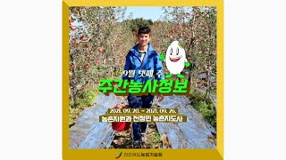 주간농사정보 9월 넷째주