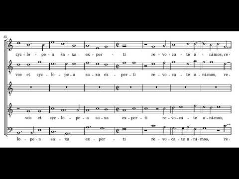 Cipriano de Rore: O socii - De Labyrintho