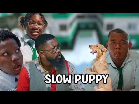 Slow Dog Meets Slow Puppy | High School Worst Class