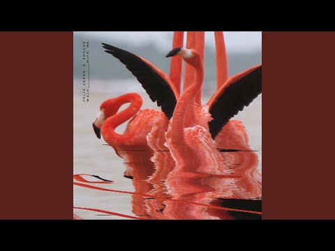 Videoclip de Walk With Me (Edit) — Felix Jaehn