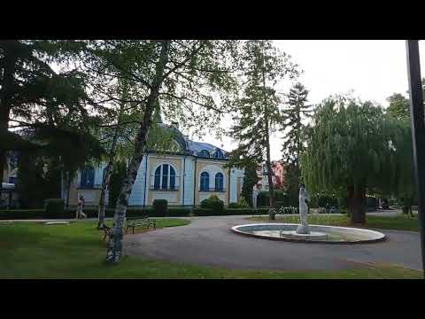 Cute dog walks Vidin #bulgaria #bidin