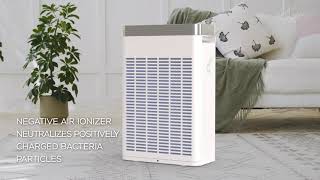 PURO²XYGEN P500 Air Purifier & PURO²XYGEN 4-in-1 High-Efficiency Replacement Filter