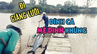 Đi Giăng Lưới Nào Ngờ - Dính Cá Mè Dinh Khủng Quá | Xuân Dương Vlogs