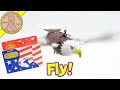 American Eagle Battery Operated Flying Bird - Gears & More Gears Repair