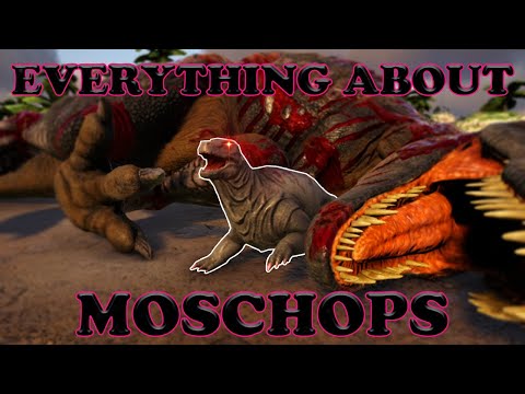 Everything You Need to Know About Moschops