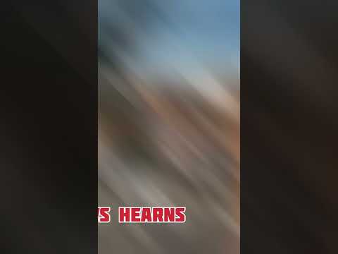 BENITEZ - EL RADAR /BEST DEFENSIVE FIGHTER