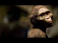 Where Did We Come From Discovery Channel