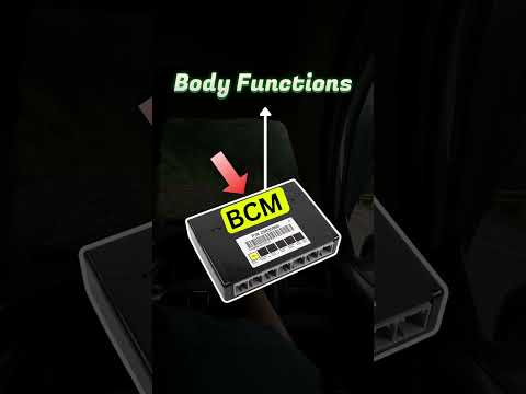 What is BCM (Body Control Module) in a Car? Explained! #bcm #autoelectrician #efiautoelectrician