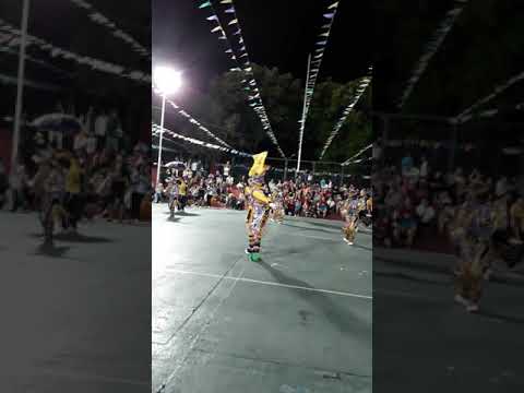 Los Arlequines de la R- Desfile carnaval 2019