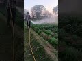 Khasa Ala Chahar New Song Spray Shorts Zimidar Kheti Status Kisan