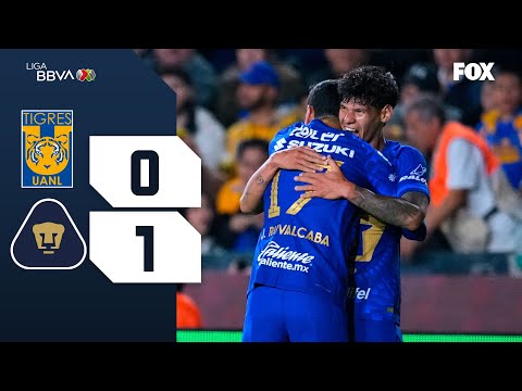 Somos Fox and PumasMX