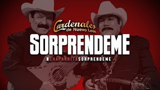 Cardenales De Nuevo León - Sorpréndeme - Lyric