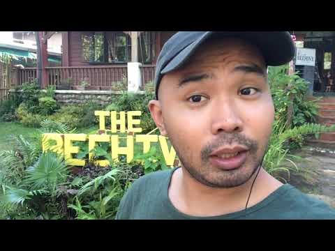 download lagu mp3 mp4 The Beehive Lipa, download mp3 The Beehive Lipa free download, download mp3 The Beehive Lipa