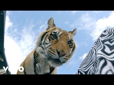 Kandžija i Gole žene - Mače