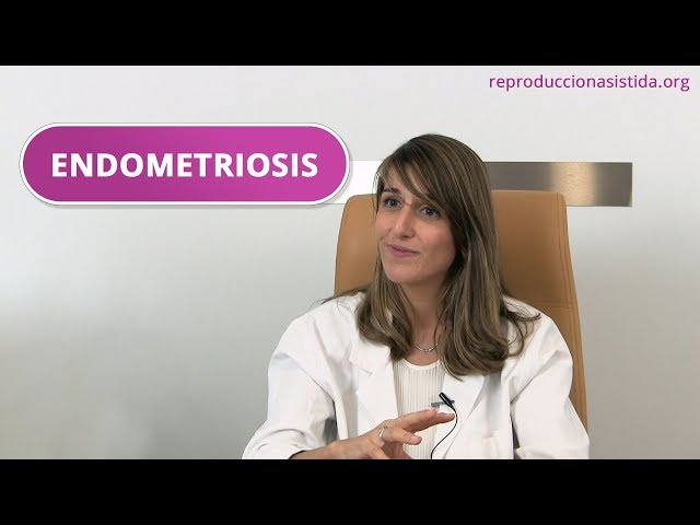 ¿Qué es la endometriosis? Causas, síntomas y tratamiento