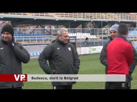 Budescu, dorit la Belgrad
