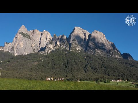 SOUTHBRASS - "Kampideller Polka"