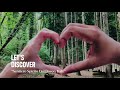 Let S Discover Sentiero Spirito Del Bosco Italy