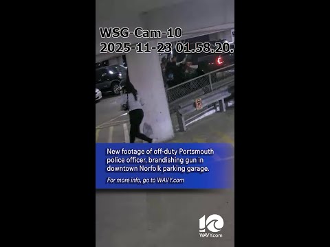 Off Duty Nypd Guns