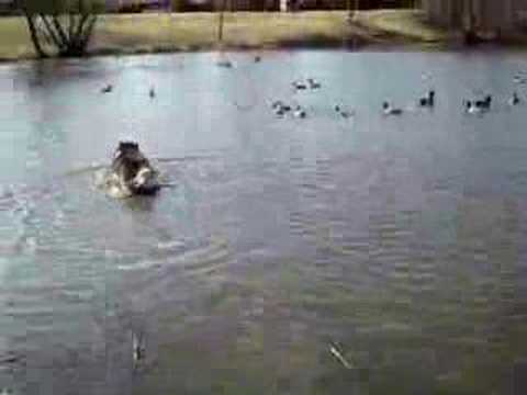 Walk in the Park (Part 1)