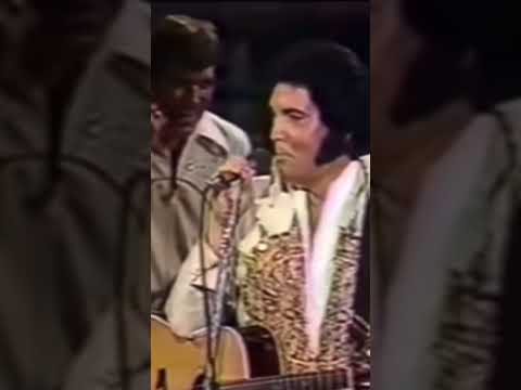 🔊 "Turn Around!!!!!!!"🔊 Have you ever seen this before?? Elvis plays it so cool 😎 #elvis #elvislove