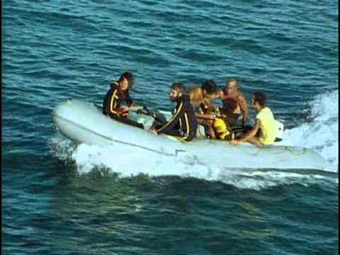 33 1975 Спящие акулы Юкатана - Подводная одиссея команды Кусто