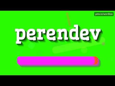 PERENDEV - Uncovering the Truth Behind Perendev: Magnetic Motor Phenomenon or Scam?