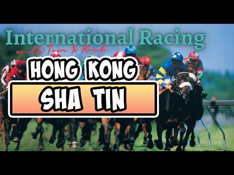 International Horse Racing Today – Hong Kong, Sha Tin Racecourse